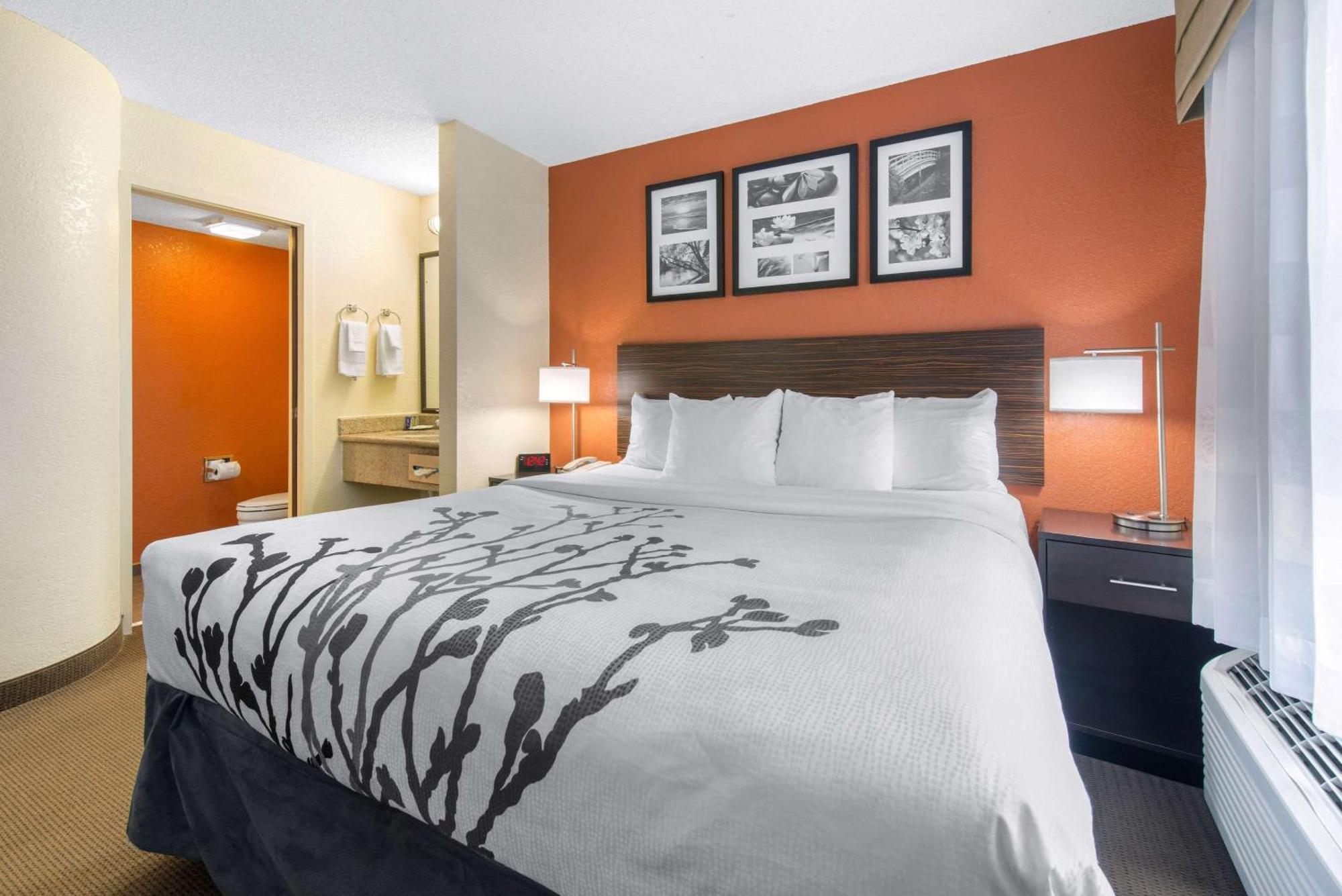 Sleep Inn Sarasota North Eksteriør billede