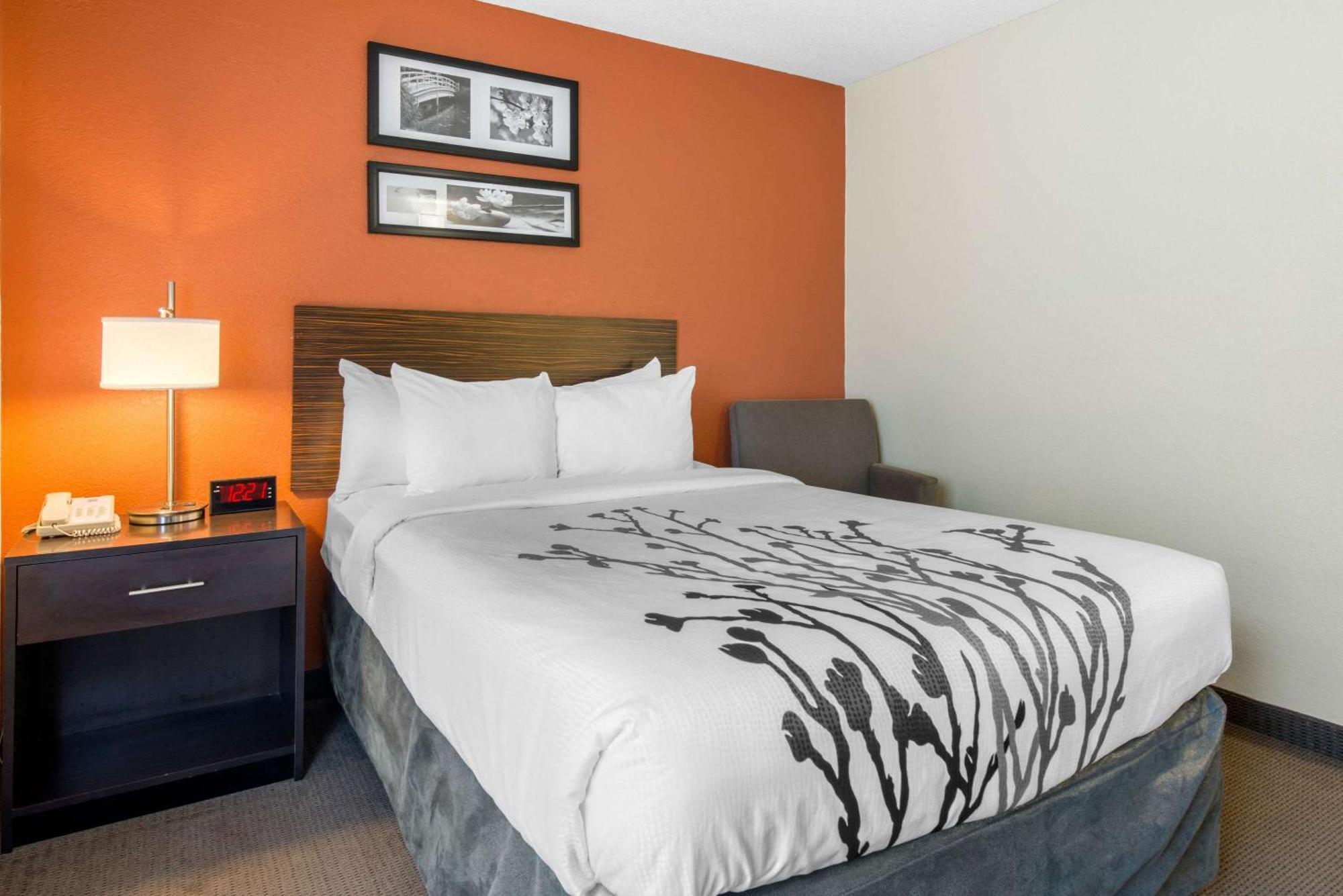 Sleep Inn Sarasota North Eksteriør billede