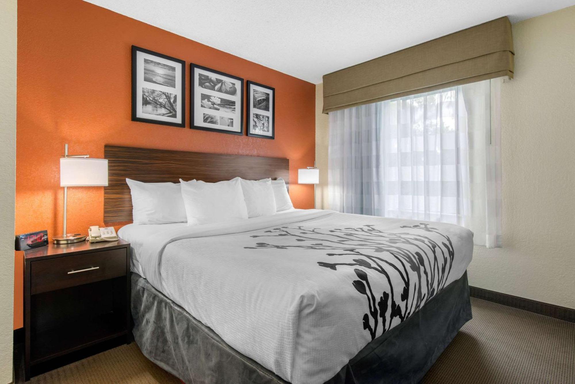 Sleep Inn Sarasota North Eksteriør billede