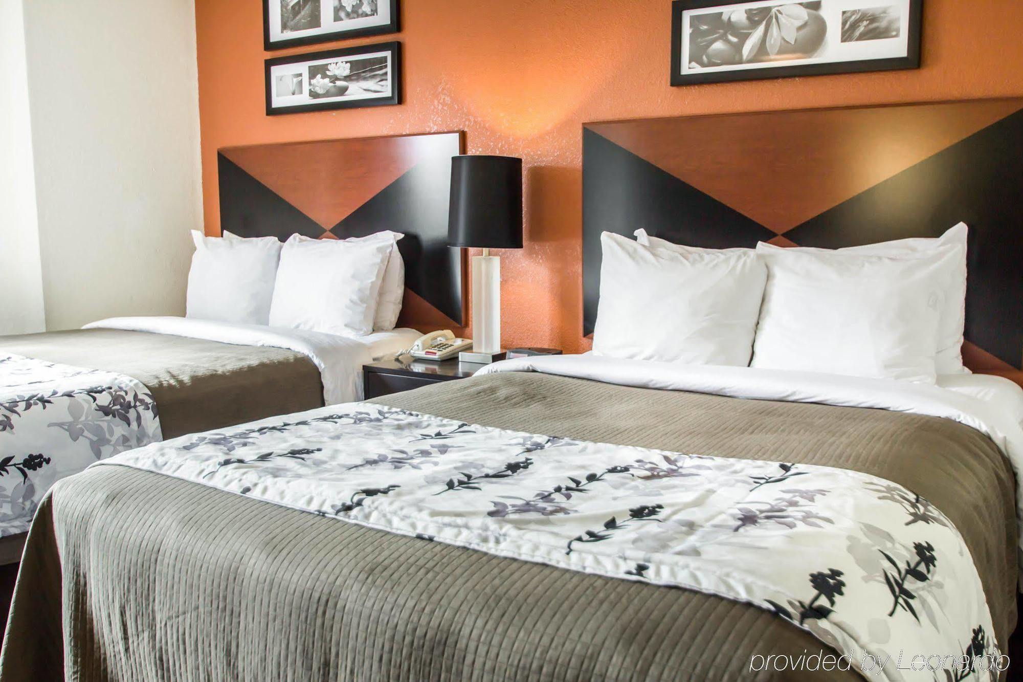 Sleep Inn Sarasota North Eksteriør billede